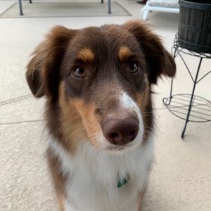 Meet your Posher, Katy